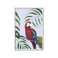 Picture of Red Parrot Paradise II _GroupedProduct_Rectangle_Portrait_Framed_Matted_