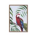 Picture of Red Parrot Paradise II _GroupedProduct_Rectangle_Portrait_Framed_Matted_