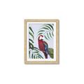 Picture of Red Parrot Paradise II _GroupedProduct_Rectangle_Portrait_Framed_Matted_