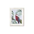 Picture of Red Parrot Paradise II _GroupedProduct_Rectangle_Portrait_Framed_Matted_