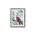 Picture of Red Parrot Paradise II _GroupedProduct_Rectangle_Portrait_Framed_Matted_