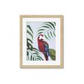 Picture of Red Parrot Paradise II _GroupedProduct_Rectangle_Portrait_Framed_Matted_