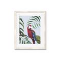 Picture of Red Parrot Paradise II _GroupedProduct_Rectangle_Portrait_Framed_Matted_