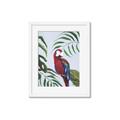 Picture of Red Parrot Paradise II _GroupedProduct_Rectangle_Portrait_Framed_Matted_