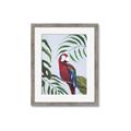 Picture of Red Parrot Paradise II _GroupedProduct_Rectangle_Portrait_Framed_Matted_
