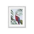 Picture of Red Parrot Paradise II _GroupedProduct_Rectangle_Portrait_Framed_Matted_