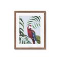 Picture of Red Parrot Paradise II _GroupedProduct_Rectangle_Portrait_Framed_Matted_