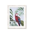 Picture of Red Parrot Paradise II _GroupedProduct_Rectangle_Portrait_Framed_Matted_