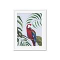Picture of Red Parrot Paradise II _GroupedProduct_Rectangle_Portrait_Framed_Matted_