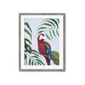 Picture of Red Parrot Paradise II _GroupedProduct_Rectangle_Portrait_Framed_Matted_