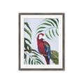Picture of Red Parrot Paradise II _GroupedProduct_Rectangle_Portrait_Framed_Matted_
