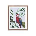 Picture of Red Parrot Paradise II _GroupedProduct_Rectangle_Portrait_Framed_Matted_