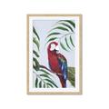 Picture of Red Parrot Paradise II _GroupedProduct_Rectangle_Portrait_Framed_Matted_