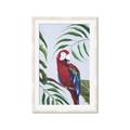 Picture of Red Parrot Paradise II _GroupedProduct_Rectangle_Portrait_Framed_Matted_