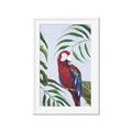 Picture of Red Parrot Paradise II _GroupedProduct_Rectangle_Portrait_Framed_Matted_
