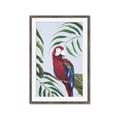 Picture of Red Parrot Paradise II _GroupedProduct_Rectangle_Portrait_Framed_Matted_
