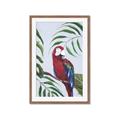 Picture of Red Parrot Paradise II _GroupedProduct_Rectangle_Portrait_Framed_Matted_