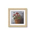 Picture of Clay Potted Plants _GroupedProduct_Square_Framed_Matted_