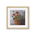Picture of Clay Potted Plants _GroupedProduct_Square_Framed_Matted_