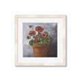Picture of Clay Potted Plants _GroupedProduct_Square_Framed_Matted_