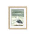 Picture of Sea Gull _GroupedProduct_Rectangle_Portrait_Framed_Matted_