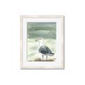 Picture of Sea Gull _GroupedProduct_Rectangle_Portrait_Framed_Matted_