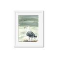 Picture of Sea Gull _GroupedProduct_Rectangle_Portrait_Framed_Matted_