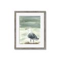Picture of Sea Gull _GroupedProduct_Rectangle_Portrait_Framed_Matted_