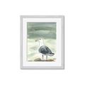 Picture of Sea Gull _GroupedProduct_Rectangle_Portrait_Framed_Matted_