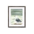Picture of Sea Gull _GroupedProduct_Rectangle_Portrait_Framed_Matted_