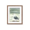 Picture of Sea Gull _GroupedProduct_Rectangle_Portrait_Framed_Matted_