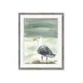 Picture of Sea Gull _GroupedProduct_Rectangle_Portrait_Framed_Matted_