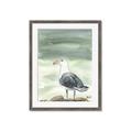 Picture of Sea Gull _GroupedProduct_Rectangle_Portrait_Framed_Matted_