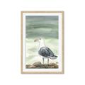 Picture of Sea Gull _GroupedProduct_Rectangle_Portrait_Framed_Matted_