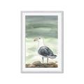 Picture of Sea Gull _GroupedProduct_Rectangle_Portrait_Framed_Matted_