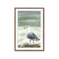 Picture of Sea Gull _GroupedProduct_Rectangle_Portrait_Framed_Matted_