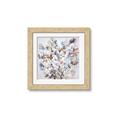 Picture of Coloured Flower _GroupedProduct_Square_Framed_Matted_