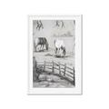 Picture of Farm House _GroupedProduct_Rectangle_Portrait_Framed_Matted_