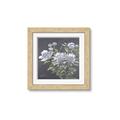 Picture of Summer flower _GroupedProduct_Square_Framed_Matted_