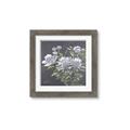 Picture of Summer flower _GroupedProduct_Square_Framed_Matted_