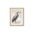 Picture of Blue Egret _GroupedProduct_Rectangle_Portrait_Framed_Matted_