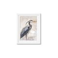 Picture of Blue Egret _GroupedProduct_Rectangle_Portrait_Framed_Matted_