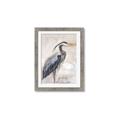 Picture of Blue Egret _GroupedProduct_Rectangle_Portrait_Framed_Matted_