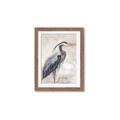 Picture of Blue Egret _GroupedProduct_Rectangle_Portrait_Framed_Matted_