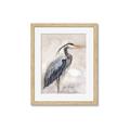 Picture of Blue Egret _GroupedProduct_Rectangle_Portrait_Framed_Matted_