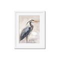 Picture of Blue Egret _GroupedProduct_Rectangle_Portrait_Framed_Matted_