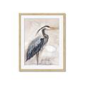 Picture of Blue Egret _GroupedProduct_Rectangle_Portrait_Framed_Matted_
