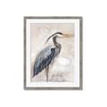 Picture of Blue Egret _GroupedProduct_Rectangle_Portrait_Framed_Matted_