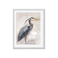 Picture of Blue Egret _GroupedProduct_Rectangle_Portrait_Framed_Matted_