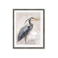 Picture of Blue Egret _GroupedProduct_Rectangle_Portrait_Framed_Matted_
